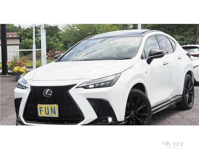 2023 Lexus NX