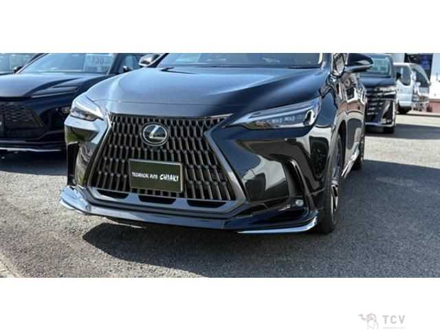 2023 Lexus NX