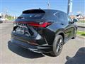 2023 Lexus NX