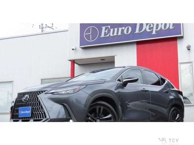 2023 Lexus NX