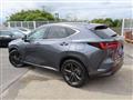2023 Lexus NX