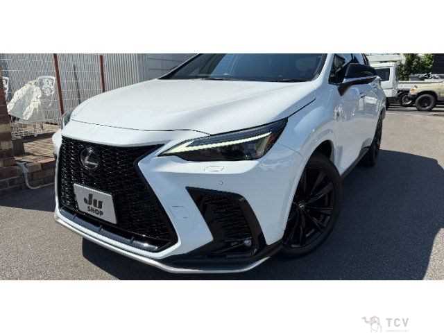 2023 Lexus NX