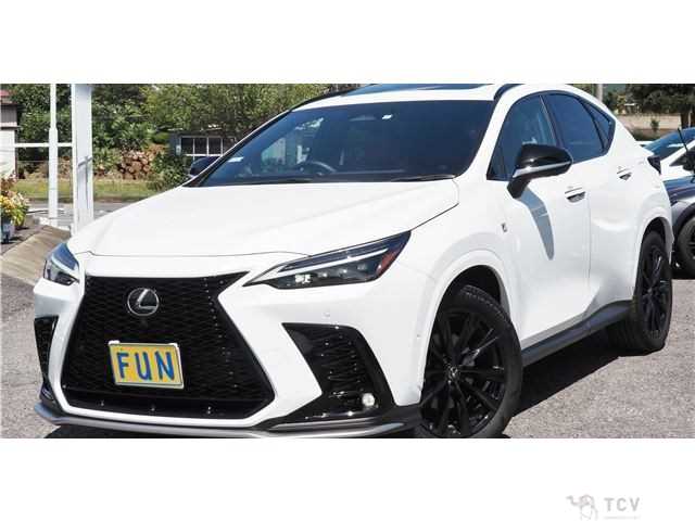 2023 Lexus NX
