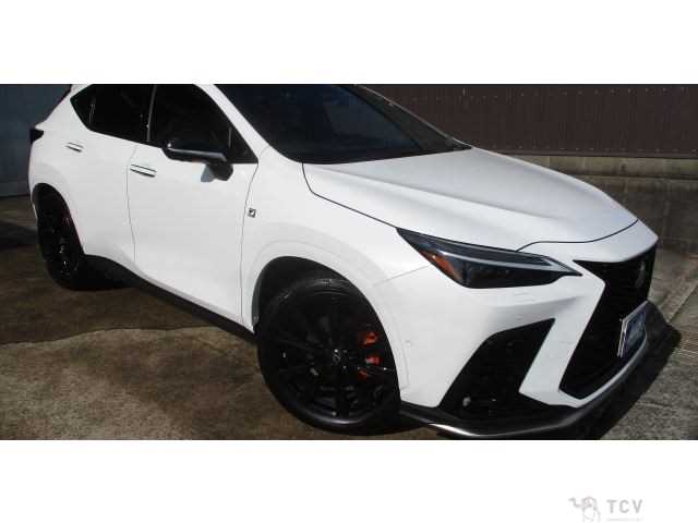 2023 Lexus NX