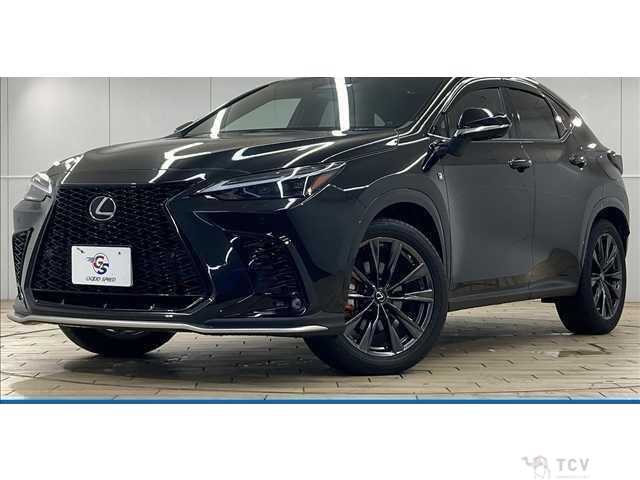 2023 Lexus NX