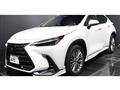 2023 Lexus NX