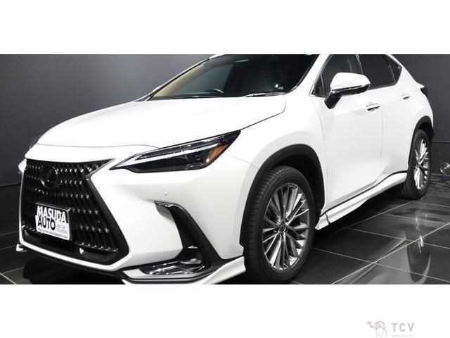 2023 Lexus NX