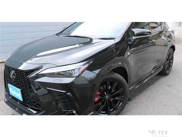 2023 Lexus NX