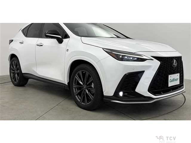 2023 Lexus NX