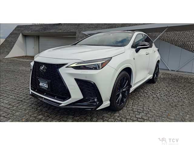 2023 Lexus NX