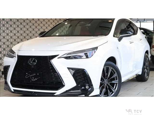 2023 Lexus NX