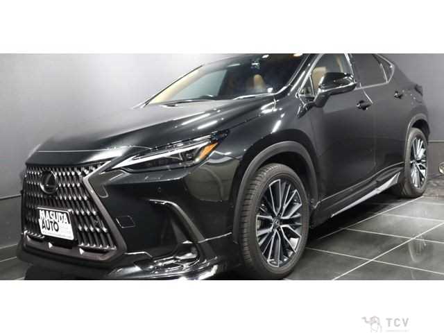 2023 Lexus NX