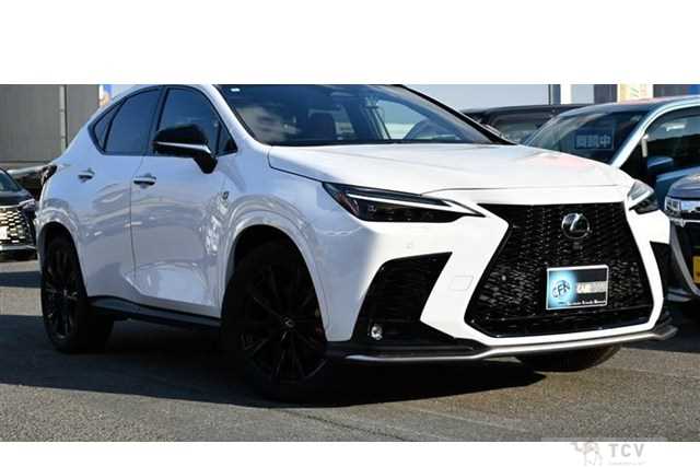 2023 Lexus NX