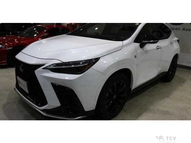 2023 Lexus NX