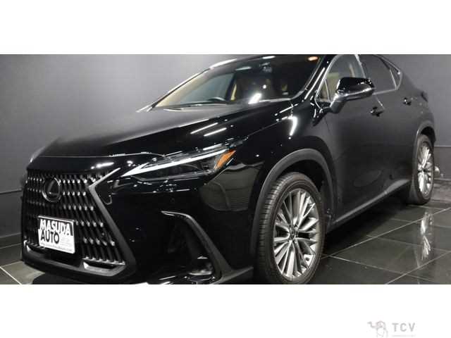 2023 Lexus NX