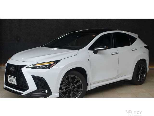 2023 Lexus NX
