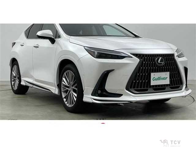 2023 Lexus NX