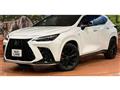 2023 Lexus NX