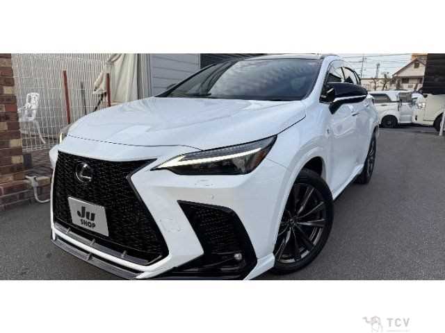 2023 Lexus NX