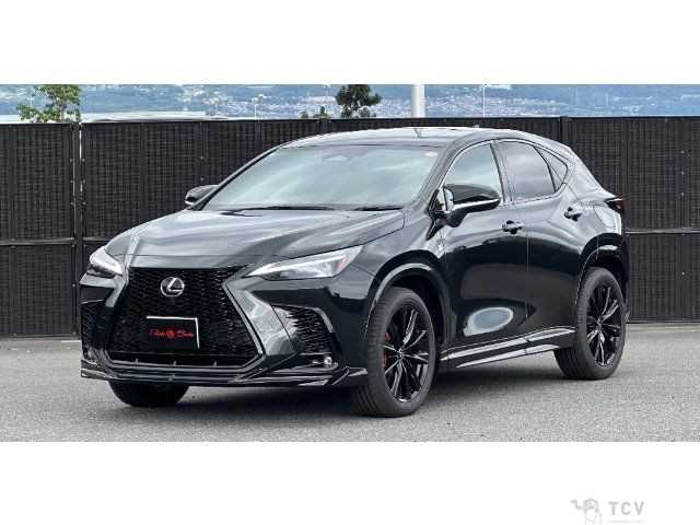 2023 Lexus NX