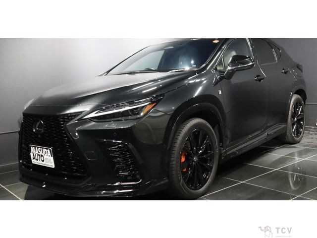 2023 Lexus NX