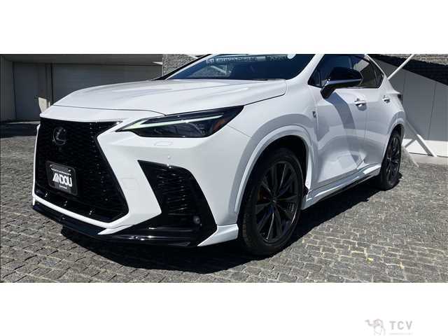 2023 Lexus NX