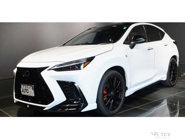 2023 Lexus NX