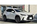 2022 Lexus NX