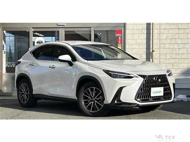 2022 Lexus NX