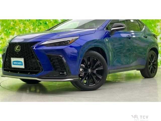 2022 Lexus NX