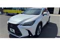 2022 Lexus NX
