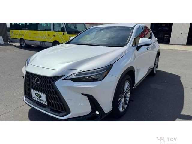 2022 Lexus NX