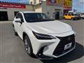 2022 Lexus NX