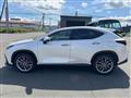 2022 Lexus NX