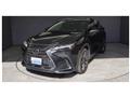 2022 Lexus NX