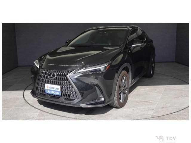 2022 Lexus NX