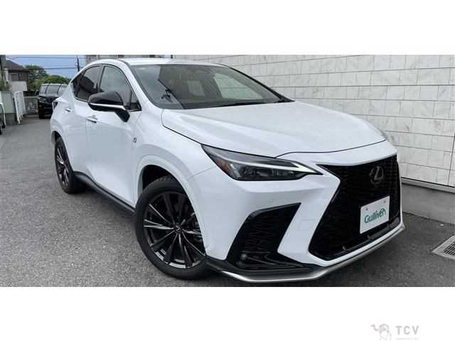 2022 Lexus NX