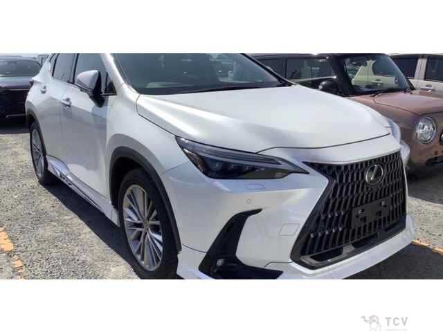 2022 Lexus NX