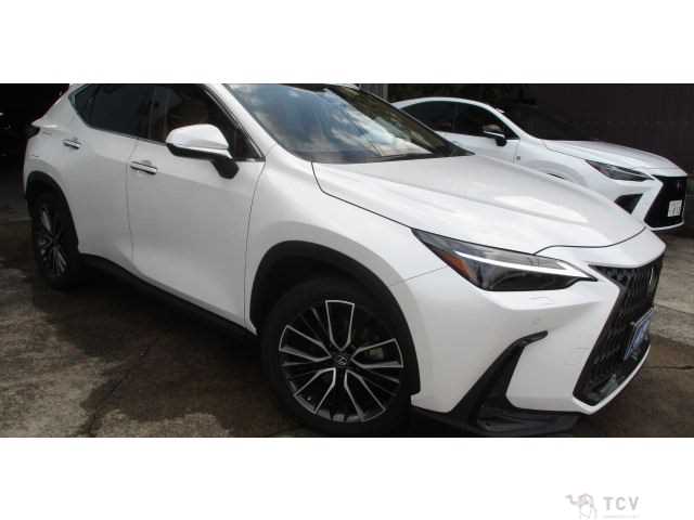 2022 Lexus NX