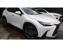 2022 Lexus NX