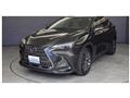 2022 Lexus NX