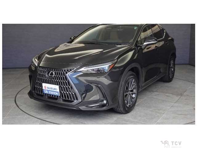 2022 Lexus NX