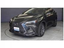 2022 Lexus NX