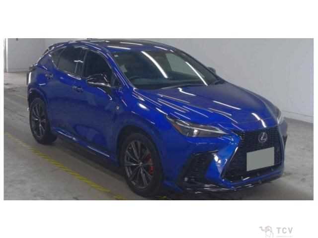 2022 Lexus NX