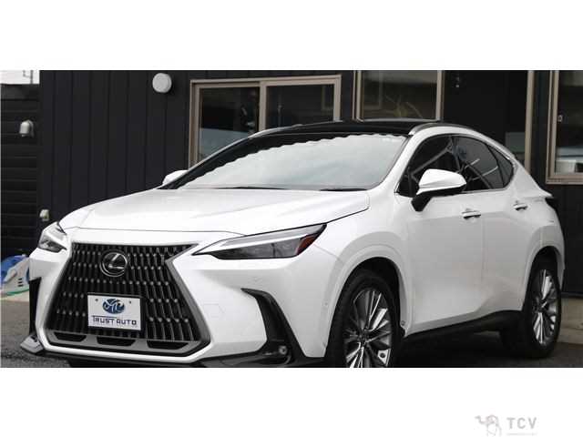 2022 Lexus NX