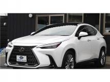 2022 Lexus NX