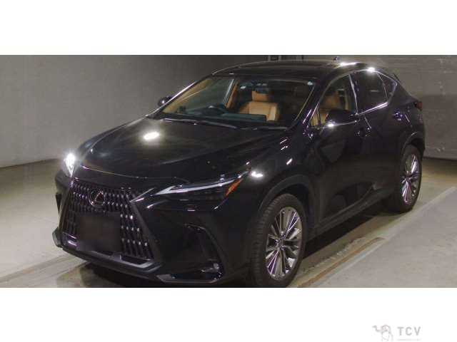 2022 Lexus NX