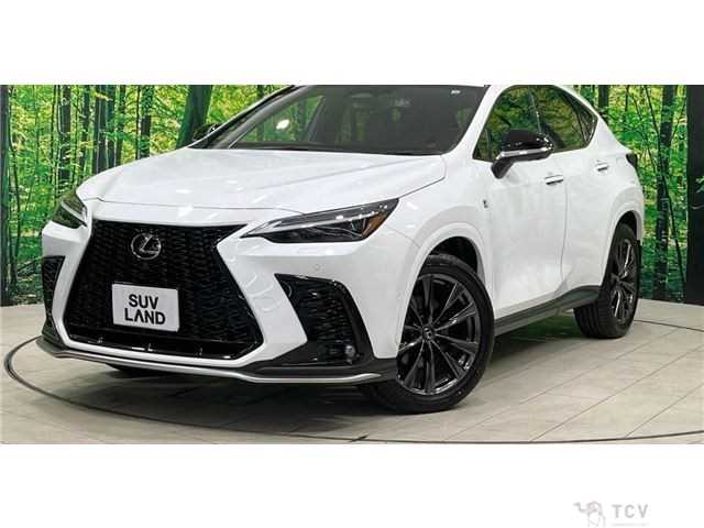 2022 Lexus NX