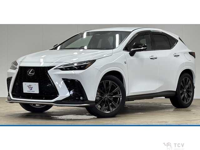 2022 Lexus NX