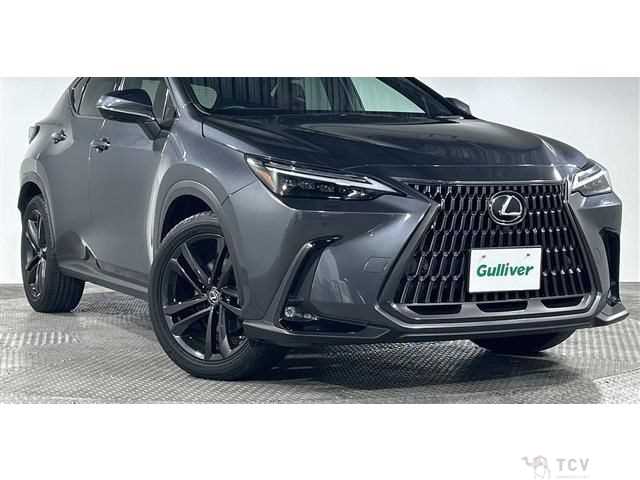 2022 Lexus NX